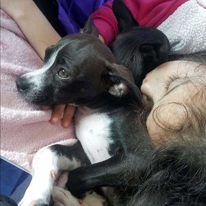 Meet your Posher, William